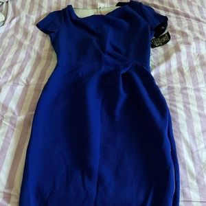 NWT ROKSANDA ILINCIC Ayden color block dress with navy belt size 12